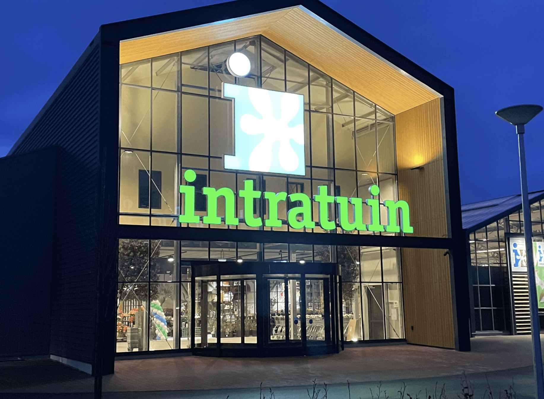 Gratis Intratuin Pannenkoekenplantje